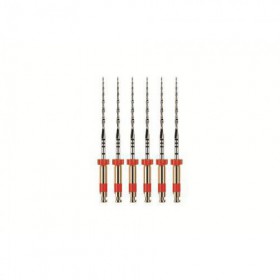 RECIPROC R25 25MM- DENTSPLY