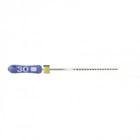 K-FILE READY STEEL D 21MM ISO 010- DENTSPLY