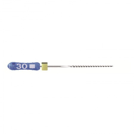 K-FILE READY STEEL D 21MM ISO 010- DENTSPLY