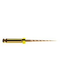PROTAPER GOLD SX 19MM (6) - Dentsply