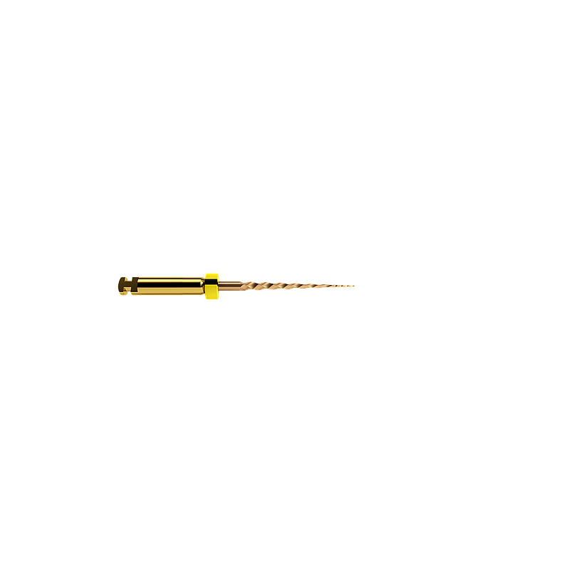 PROTAPER GOLD SX 19MM (6) - Dentsply
