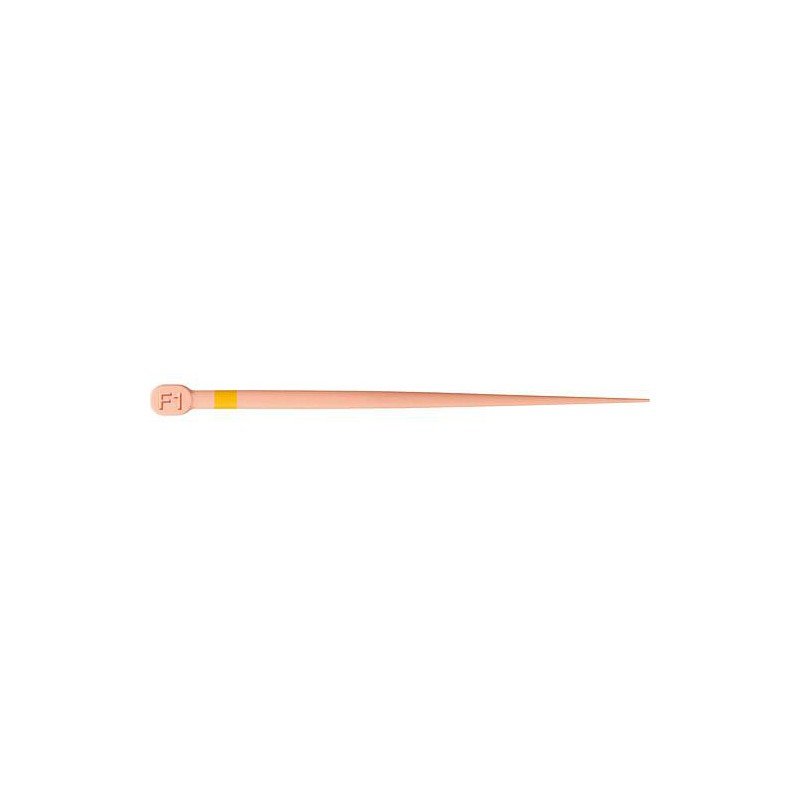 PROTAPER GOLD GUTTA F1 (60) - DENTSPLY