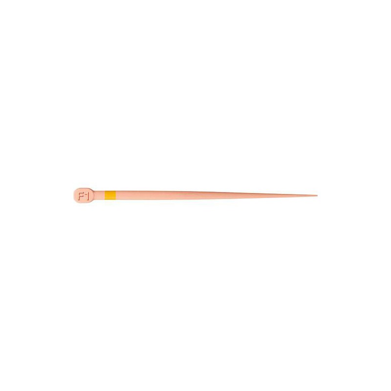 PROTAPER GOLD GUTTA F1 (60) - DENTSPLY