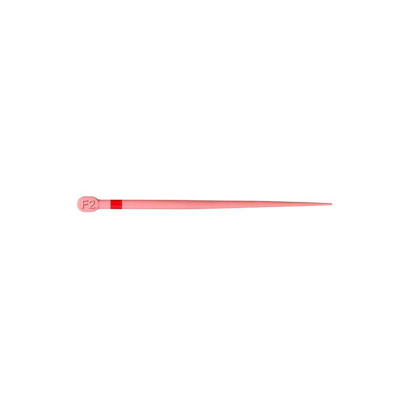 GUTTA PERCHA PRO TAPER F2- DENTSPLY - RED- boîte de 60 pointes