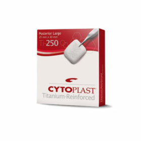 CYTOPLAST TI-250 POSTERIOR LARGE